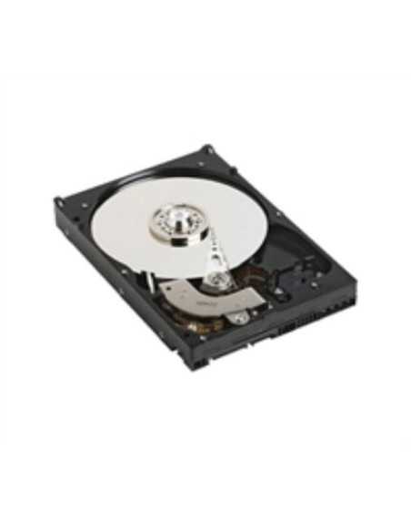 DELL NearLine 3000 GB SAS