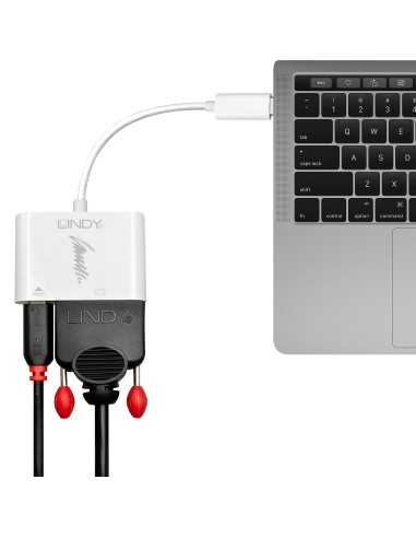 Lindy 43195 adattatore grafico USB 1920 x 1200 Pixel Bianco
