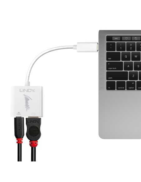 Lindy 43196 adattatore grafico USB 3840 x 2160 Pixel Bianco