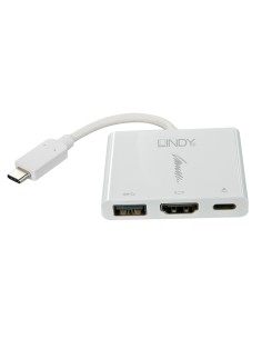 Lindy 43198 adattatore grafico USB 4096 x 2160 Pixel Bianco