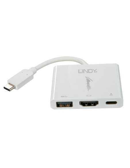 Lindy 43198 adattatore grafico USB 4096 x 2160 Pixel Bianco