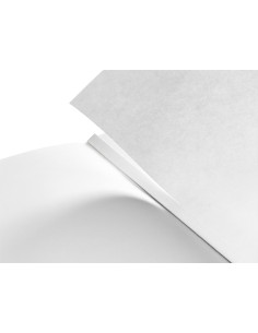 Leitz 44850004 quaderno per scrivere A5 80 fogli Bianco 2