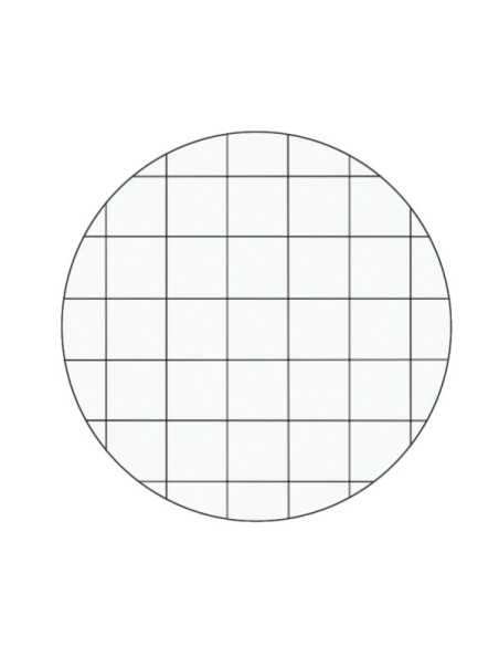 Leitz WOW quaderno per scrivere A4 80 fogli Arancione