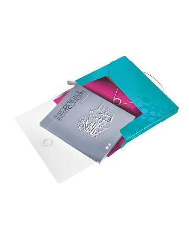 Leitz WOW Polipropilene (PP) Blu A4