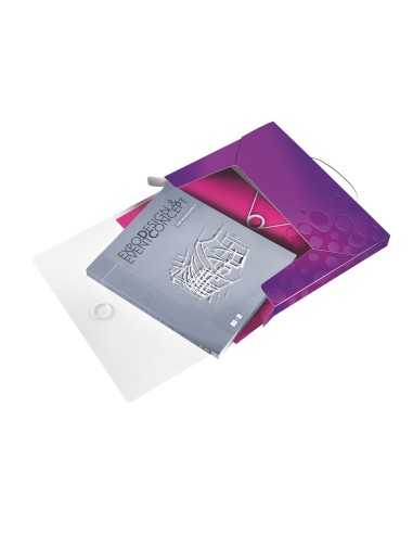 Leitz WOW Polipropilene (PP) Porpora A4