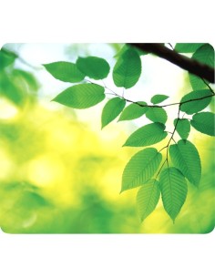 Fellowes 5903801 tappetino per mouse Verde