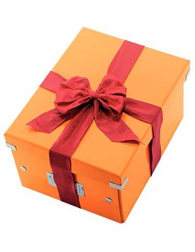 Leitz Click & Store scatola per la conservazione di documenti Polipropilene (PP) Arancione