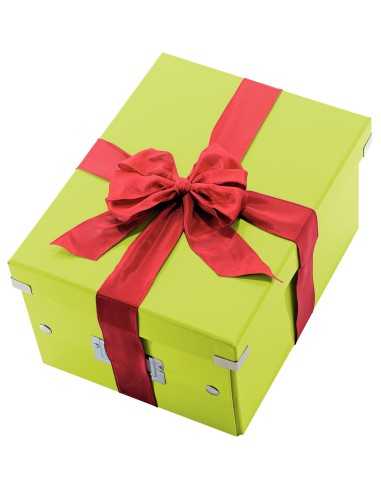 Leitz 60440064 scatola per la conservazione di documenti Polipropilene (PP) Verde