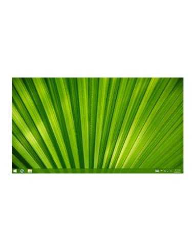 Microsoft Windows 8.1 Pro 1 licenza e