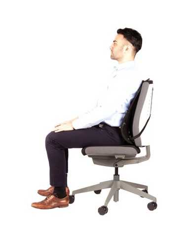 Fellowes 8029901 supporto per schienale della sedia Grafite