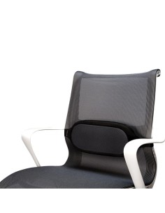 Fellowes 8042301 schienale Nero, Grigio Poliestere Schienale a rete 2