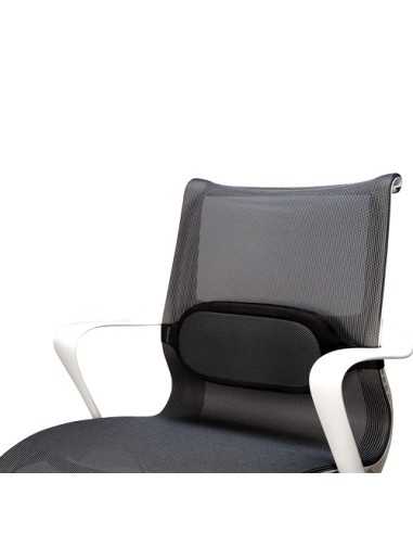 Fellowes 8042301 schienale Nero, Grigio Poliestere Schienale a rete