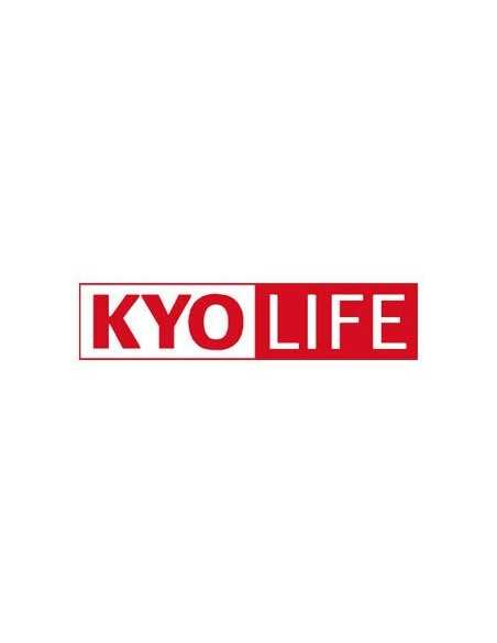 KYOCERA KYOlife, 3Y