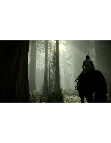 Sony PS4 Shadow of the Colossus