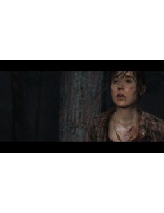 Sony The Heavy Rain & BEYOND  Two Souls Collection Collezione ITA PlayStation 4 2