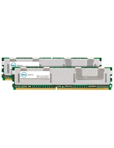 DELL 2 x 2GB DDR2 DIMM memoria 4 GB 2 x 2 GB 667 MHz Data Integrity Check (verifica integrità dati)