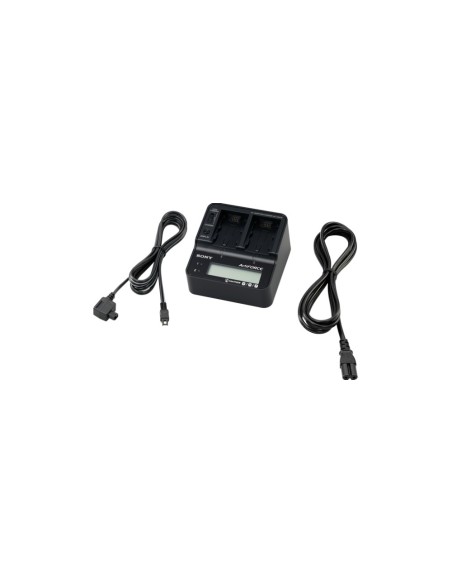 Sony AC-VQV10