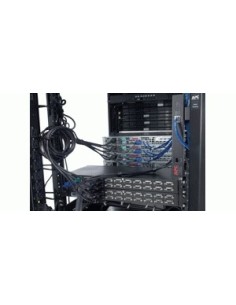 APC 16 Port Multi-Platform Analog KVM switch per keyboard-video-mouse (kvm) Montaggio rack Nero 2