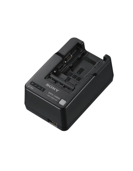 Sony BCQM1