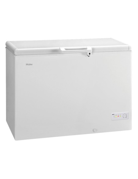 Haier BD-379RAA frigorifero e congelatore commerciali Libera installazione