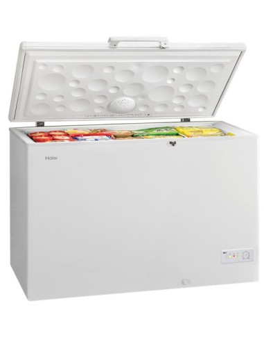 Haier BD-379RAA frigorifero e congelatore commerciali Libera installazione