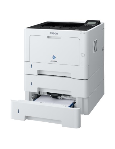 Epson WorkForce AL-M310DTN