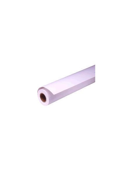 Epson Carta fotografica lucida Premium(250), in rotoli da 40, 64cm x 30, 5m.