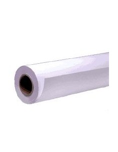 Epson Carta fotografica semilucida Premium(250), in rotoli da 40, 64cm x 30, 5m.