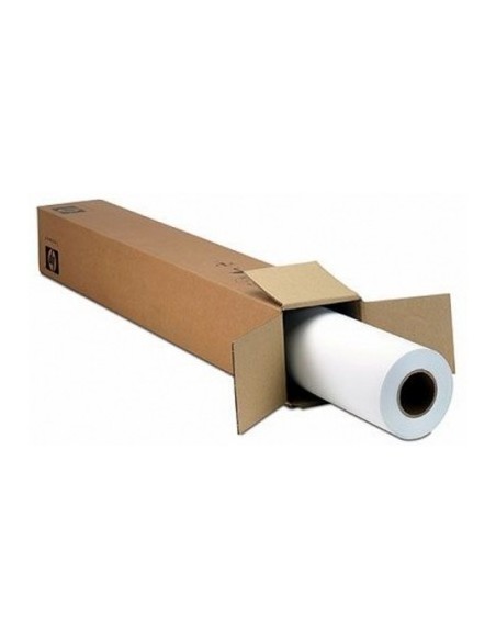 Epson Premium SemiGloss Photo Paper(170), in rotoli da 152, 4cm x 30, 5m