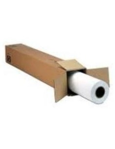 Epson MetallicProof Film, in rotoli da 60, 96cm (24'') x 30, 48m
