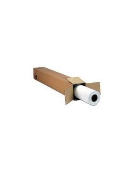 Epson MetallicProof Film, in rotoli da 60, 96cm (24'') x 30, 48m