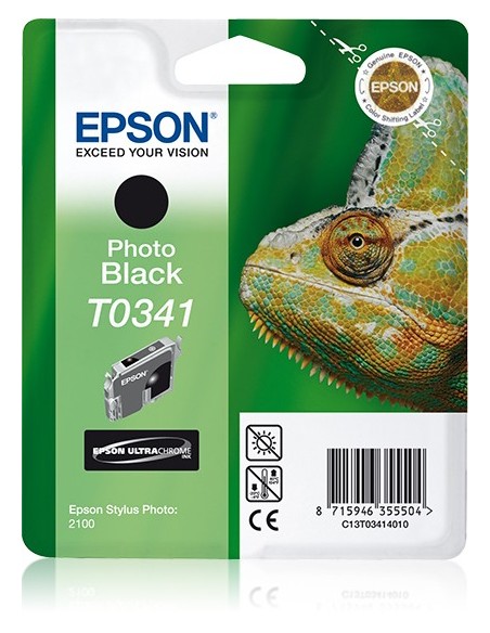 Epson Chameleon Cartuccia Nero foto