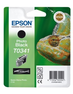 Epson Chameleon Cartuccia Nero foto 2