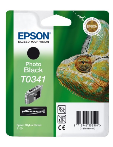 Epson Chameleon Cartuccia Nero foto