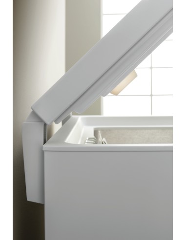 Ignis CEI250 Libera installazione F