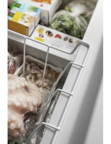 Ignis CEI250 Libera installazione F