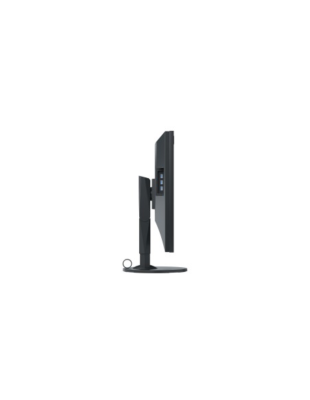 EIZO ColorEdge CG318-4K LED display 79 cm (31.1") 4096 x 2160 Pixel 4K DCI Nero