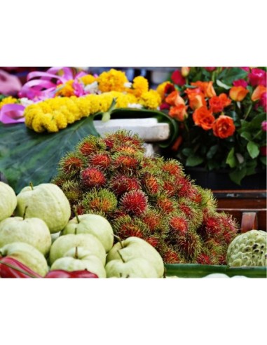 Sony Cyber-shot DSCW830, fotocamera compatta con zoom ottico 8x, Rosa