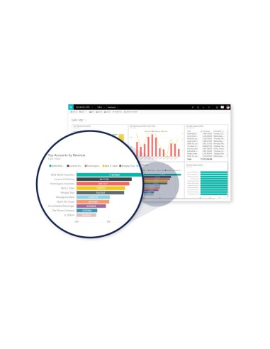 Microsoft Dynamics 365 For Sales, Sngl, License Software Assurance Pack, OLV, 1 License, Level C, UsrCAL Client Access License