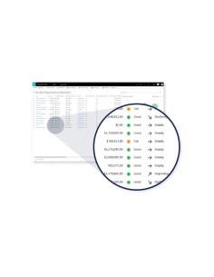 Microsoft Dynamics 365 For Sales, Sngl, Software Assurance Pack, OLV, 1 License, Level C, UsrCAL Client Access License (CAL) 1 2