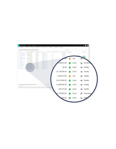 Microsoft Dynamics 365 For Sales, Sngl, Software Assurance Pack, OLV, 1 License, Level C, UsrCAL Client Access License (CAL) 1