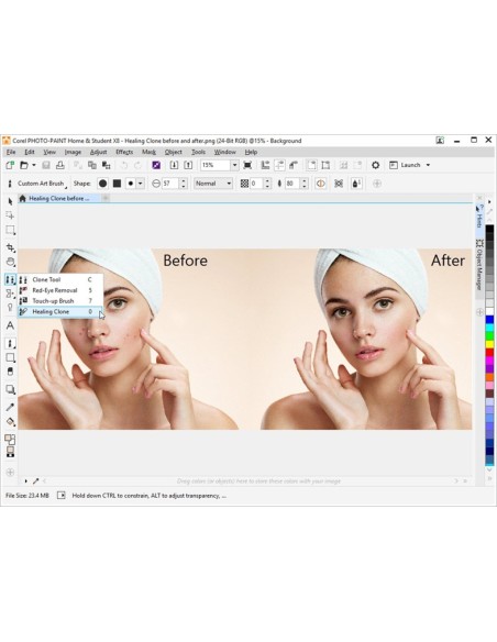 Corel CorelDRAW Home & Student Suite X8 ESD