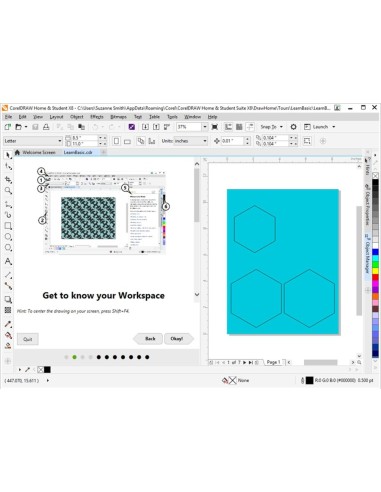 Corel CorelDRAW Home & Student Suite X8 ESD