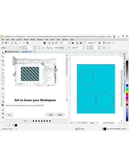 Corel CorelDRAW Home & Student Suite X8 ESD