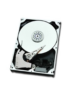 Fujitsu DX8090 S2 HD 3.5" 1000 GB SAS
