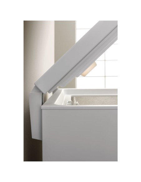Hotpoint CS1A 250 H Libera installazione