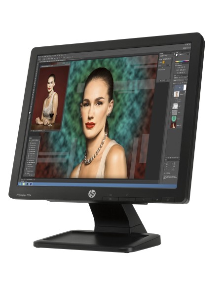 HP ProDisplay P17A 43,2 cm (17") 1280 x 1024 Pixel LED Nero