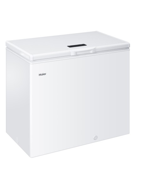 Haier HCE203RL frigorifero e congelatore commerciali Libera installazione