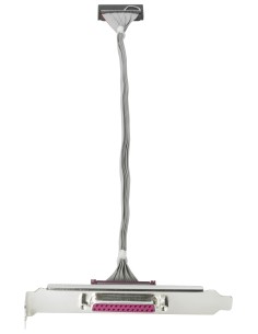 HP Adattatore per porta parallela