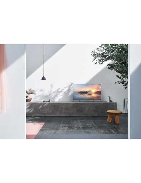 Sony KD49XE7005 124,5 cm (49") 4K Ultra HD Smart TV Wi-Fi Nero, Argento